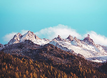 哈马斯重申愿达成全面停火协议，以色列回应：须满足五个条件